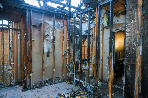 Professional Fire Damage Removal technician working in Georgia, GA